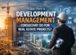 real estate development manager consultant